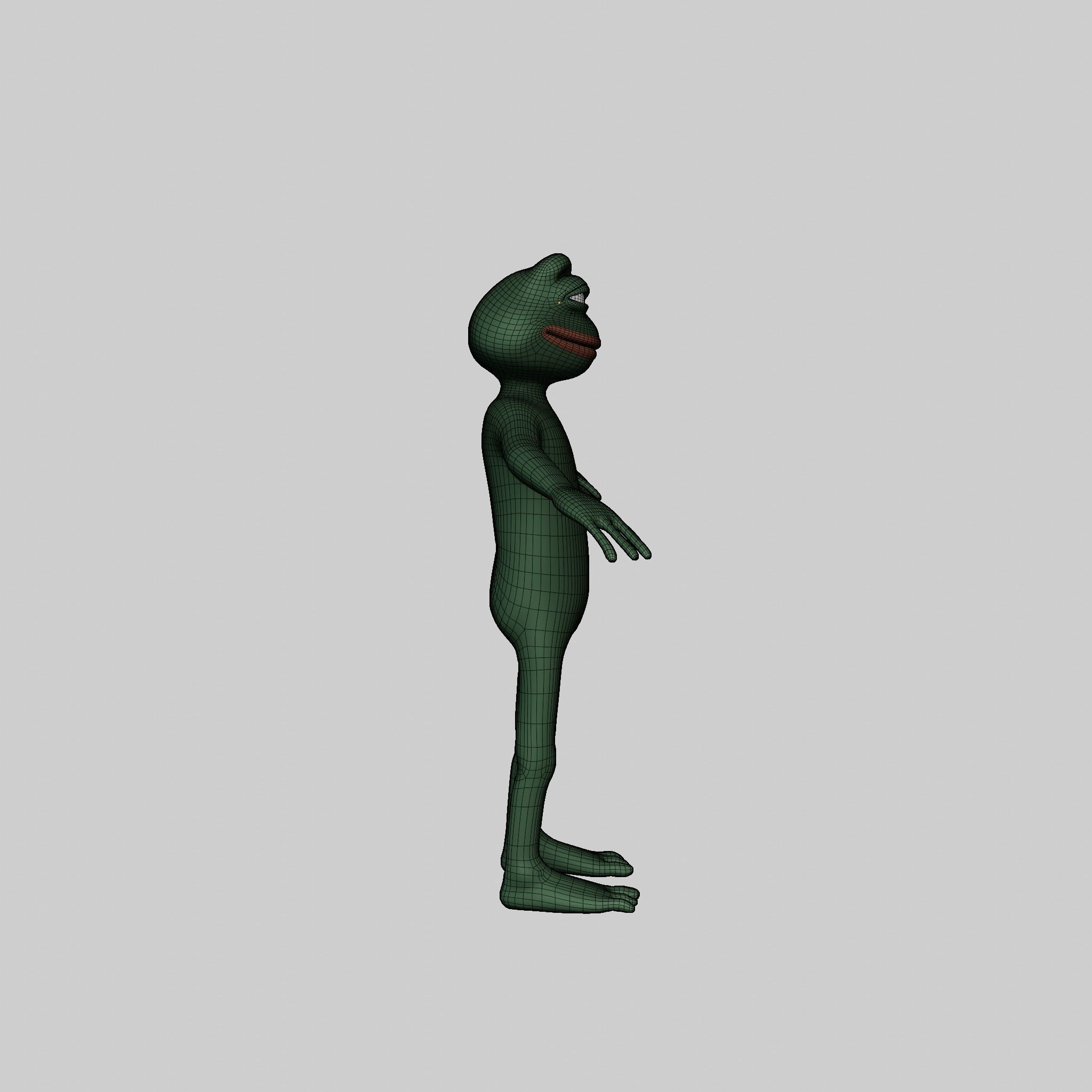 Pepe the Frog Full Body Rigged Character Low-poly 3D model_38
