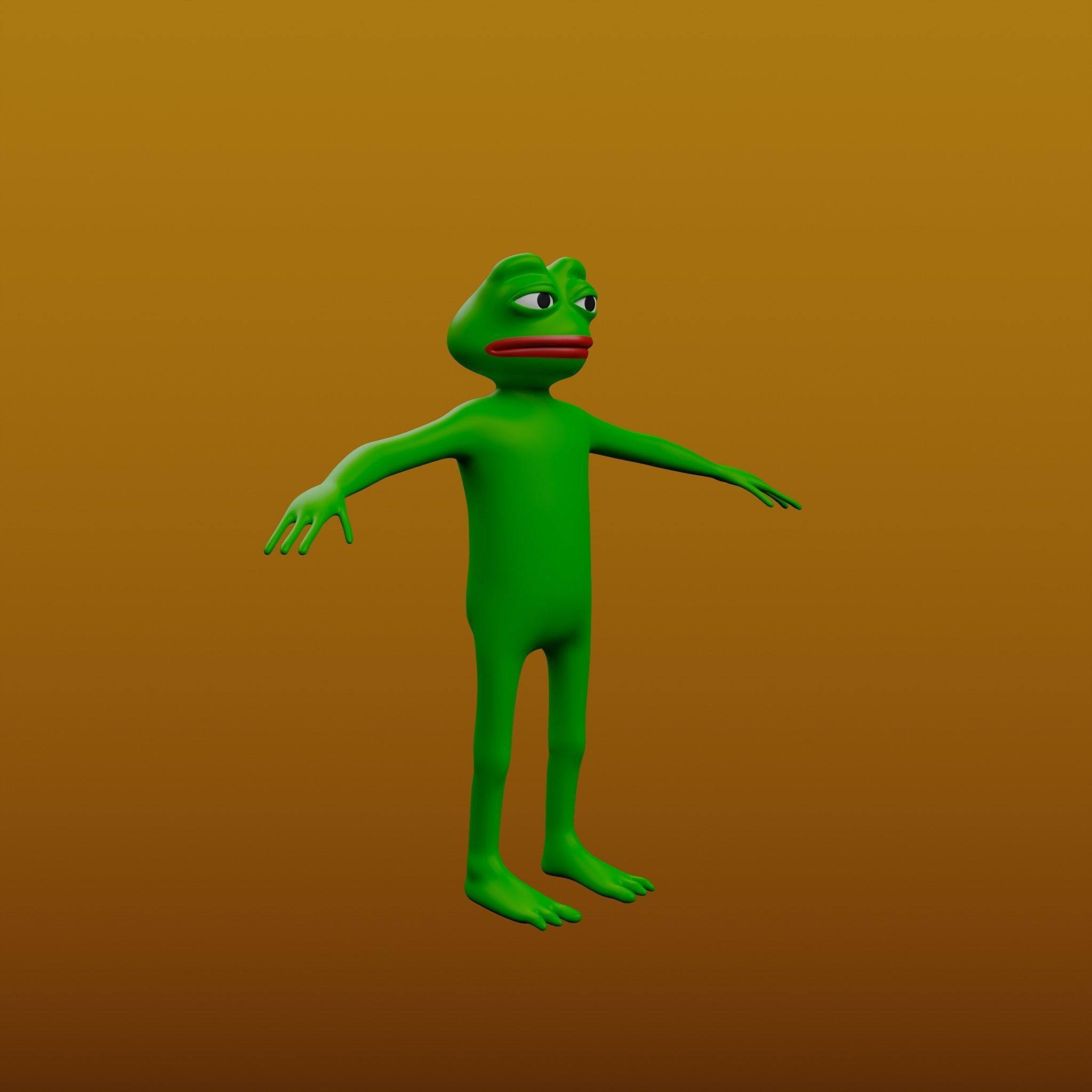 Pepe the Frog Full Body Rigged Character Low-poly 3D model_5
