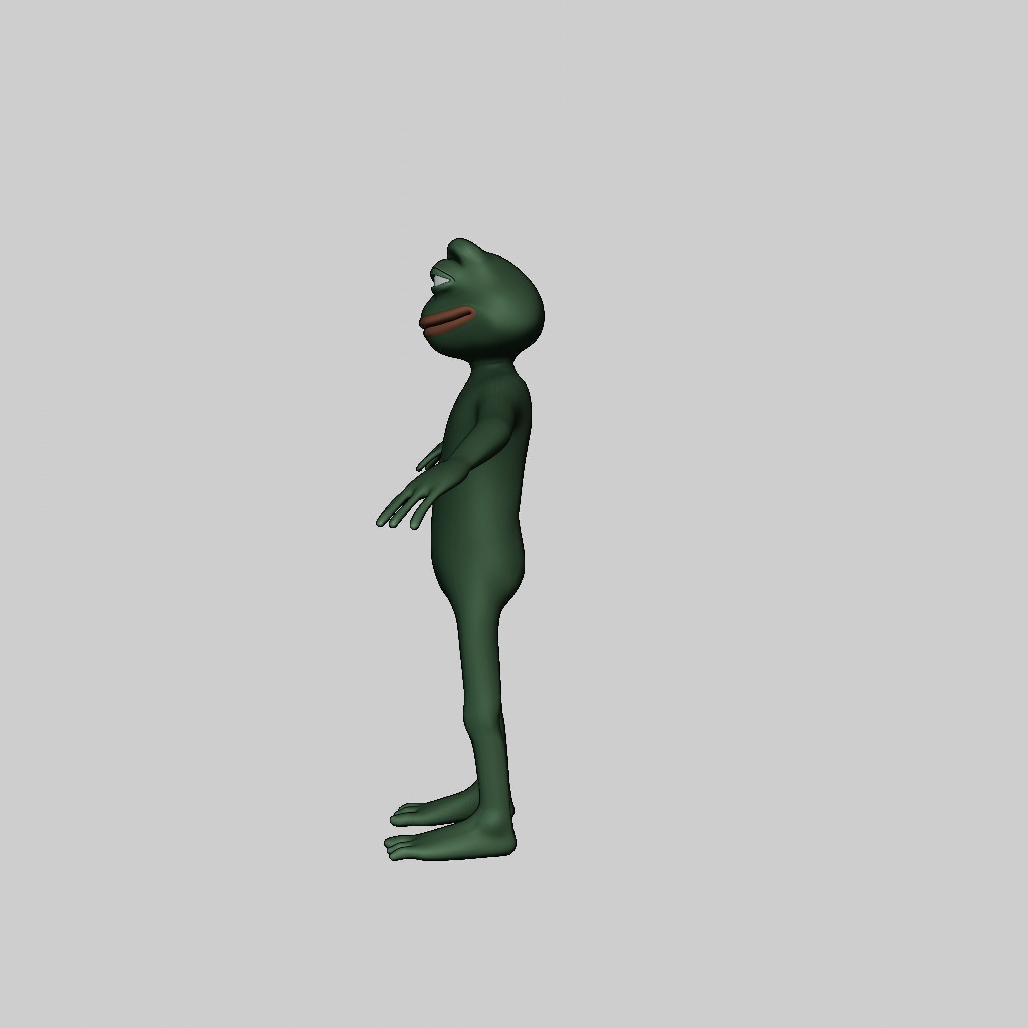 Pepe the Frog Full Body Rigged Character Low-poly 3D model_33