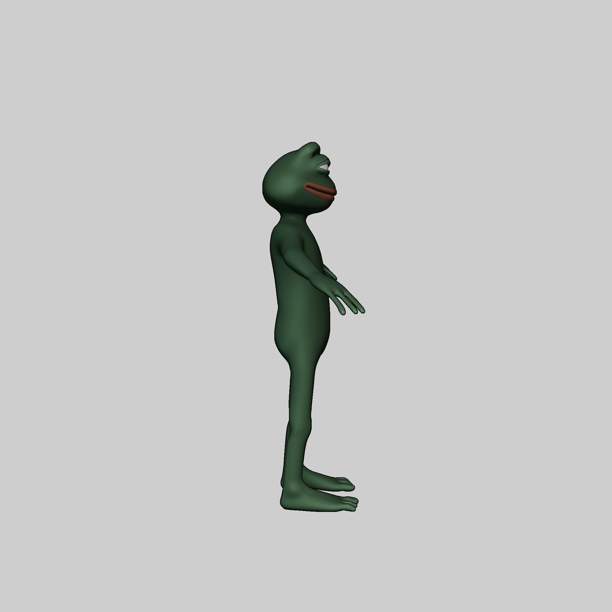 Pepe the Frog Full Body Rigged Character Low-poly 3D model_32