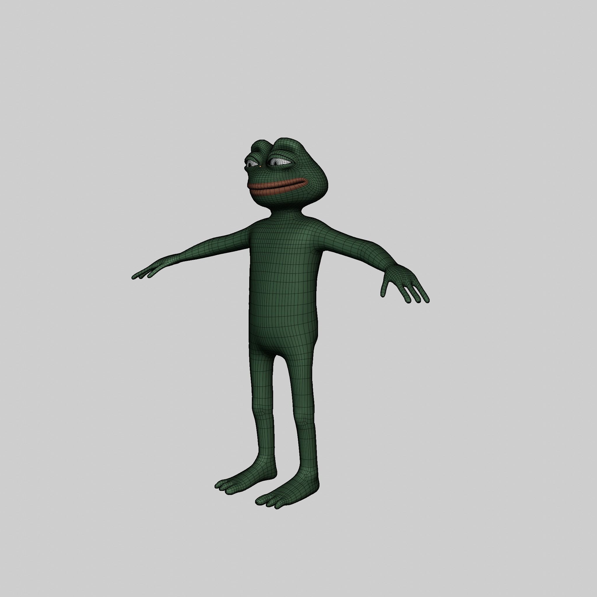 Pepe the Frog Full Body Rigged Character Low-poly 3D model_41