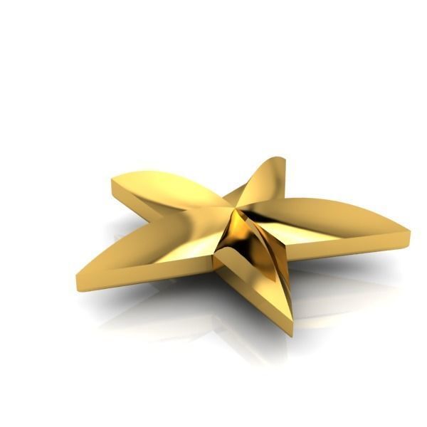 Military 3D 5 FIVE Point Star 3D print model_3