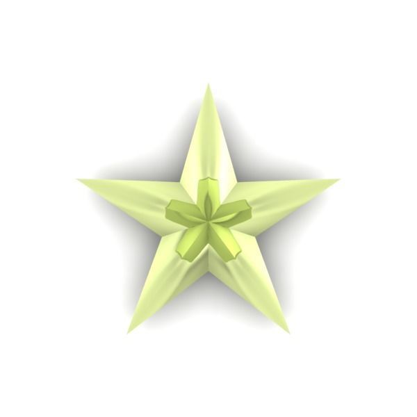 Military 3D 5 FIVE Point Star 3D print model_12