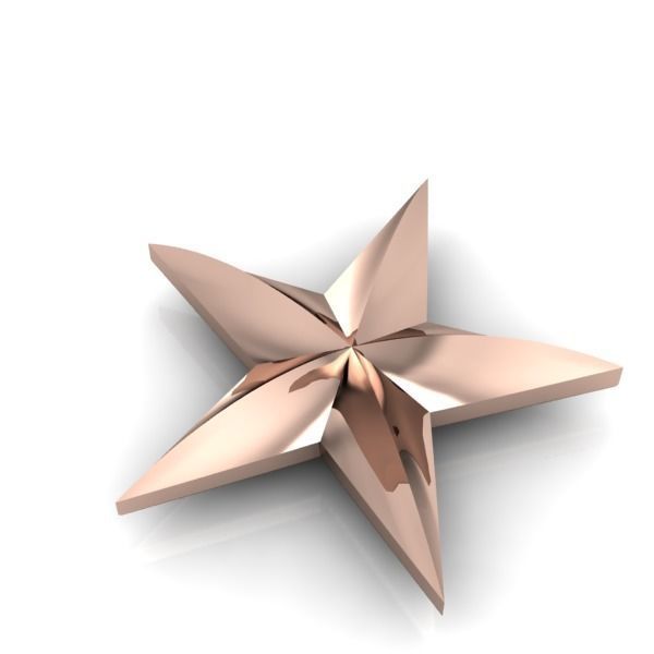 Military 3D 5 FIVE Point Star 3D print model_6