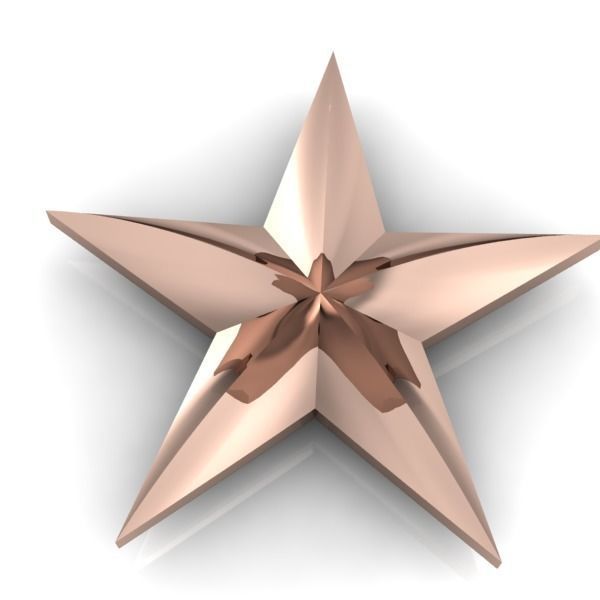 Military 3D 5 FIVE Point Star 3D print model_9