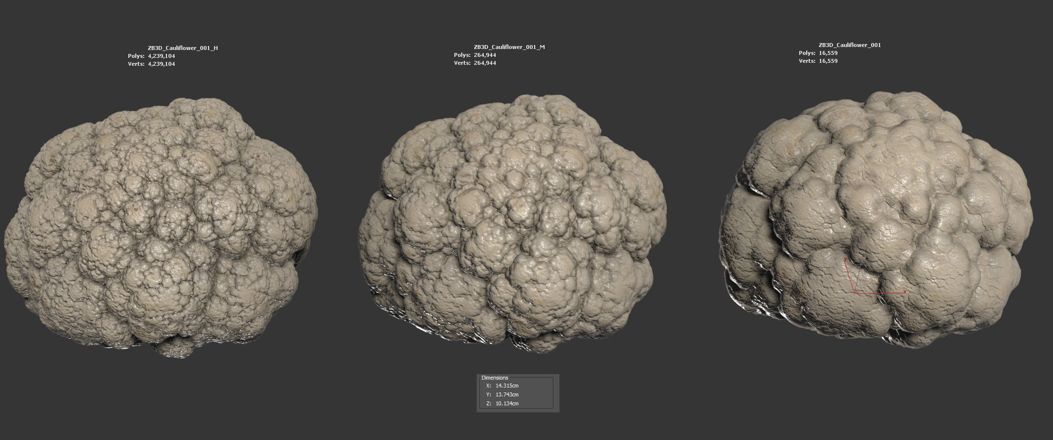 Cauliflower 3D model_5