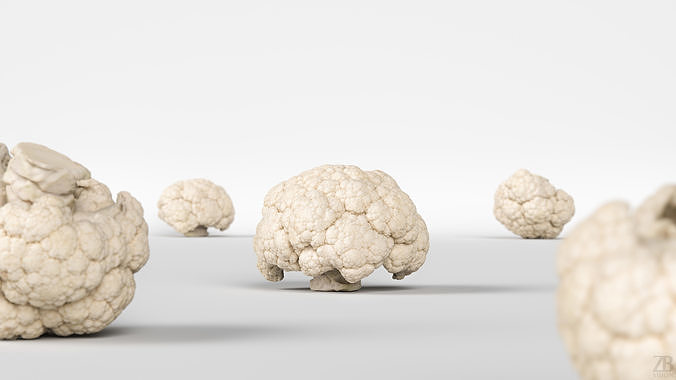 Cauliflower 3D model 2
