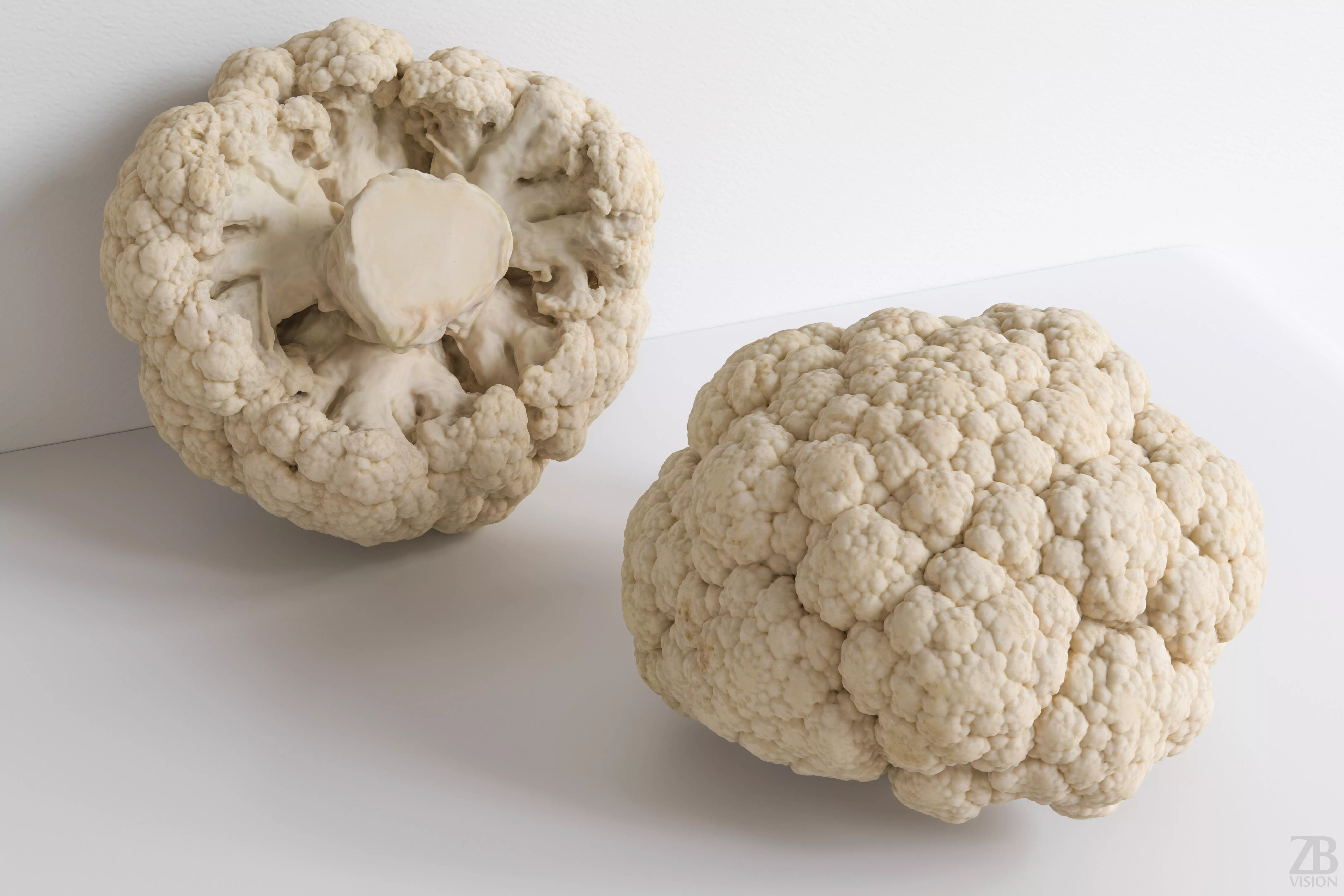 Cauliflower 3D model_0