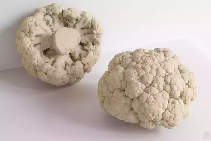 Cauliflower 3D model
