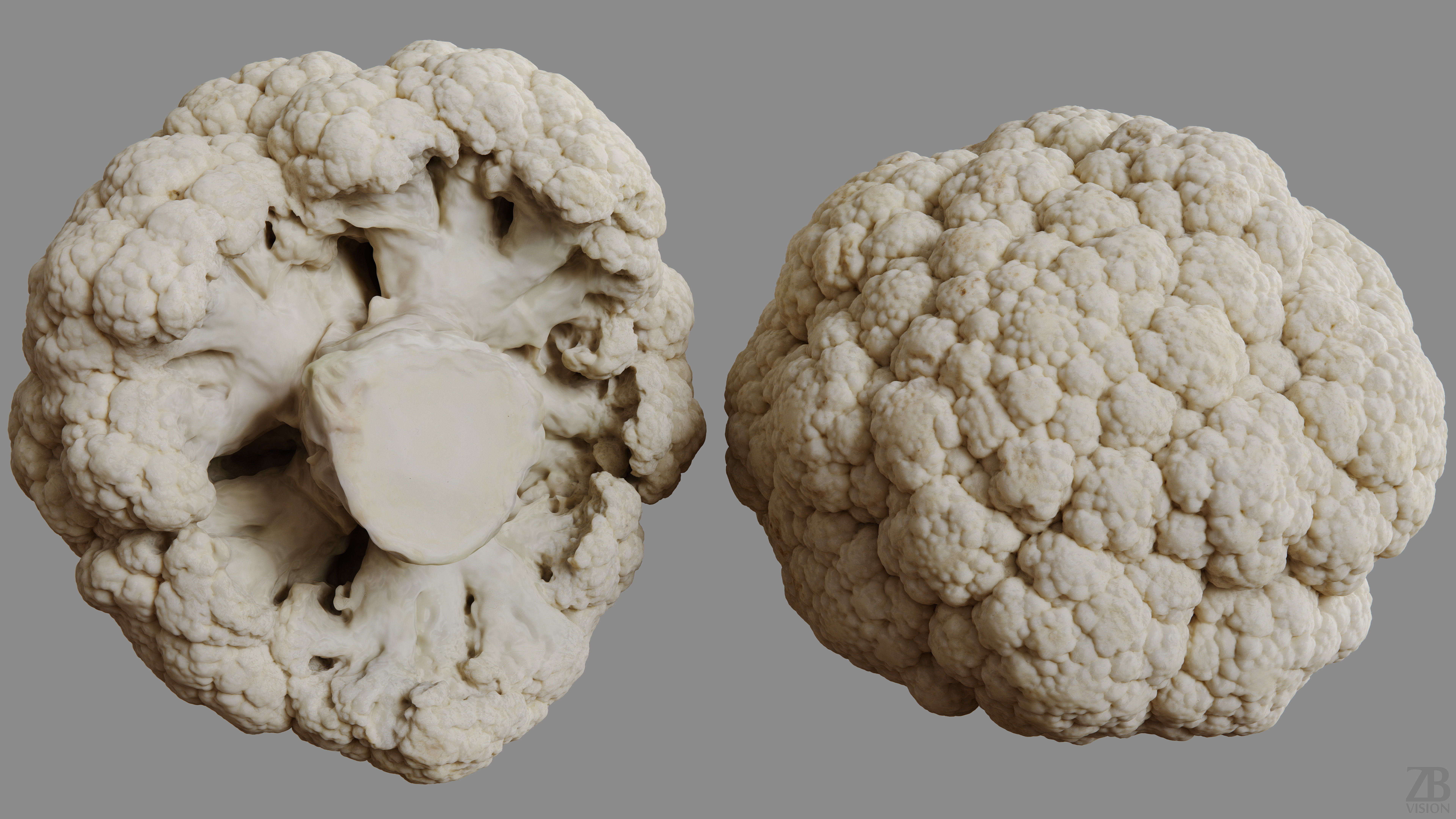 Cauliflower 3D model_9