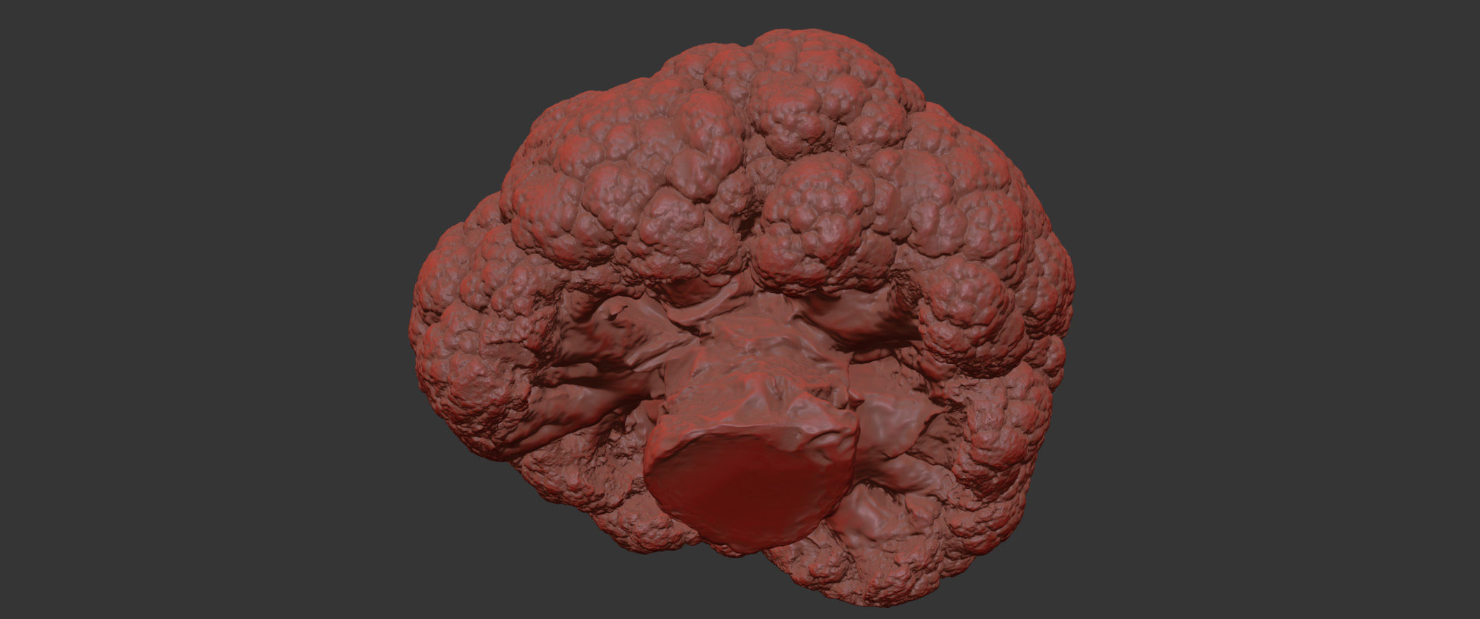 Cauliflower 3D model_7