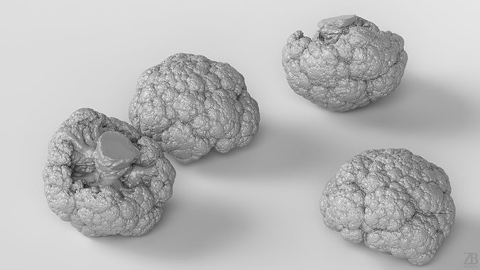 Cauliflower 3D model 4