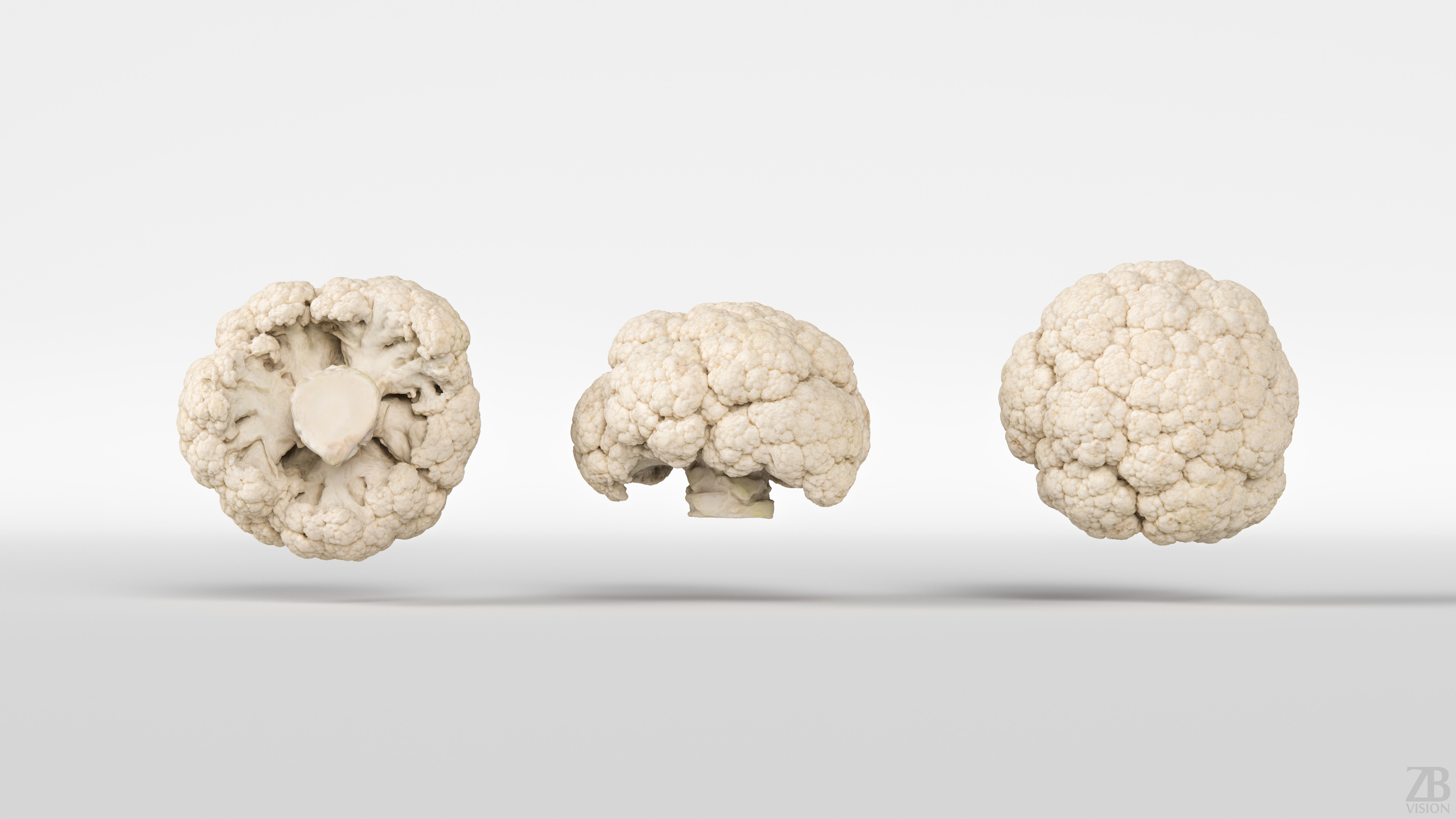 Cauliflower 3D model_4