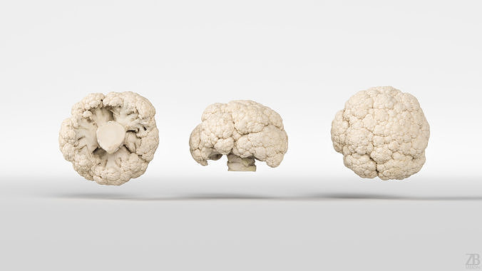 Cauliflower 3D model 5