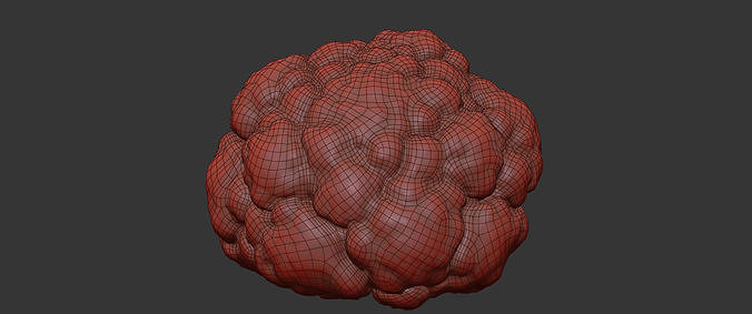 Cauliflower 3D model 7