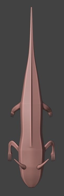 Axolotl 3D model Low-poly 3D model_3