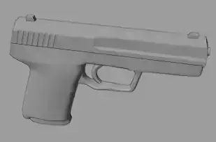 USP 45 3D model