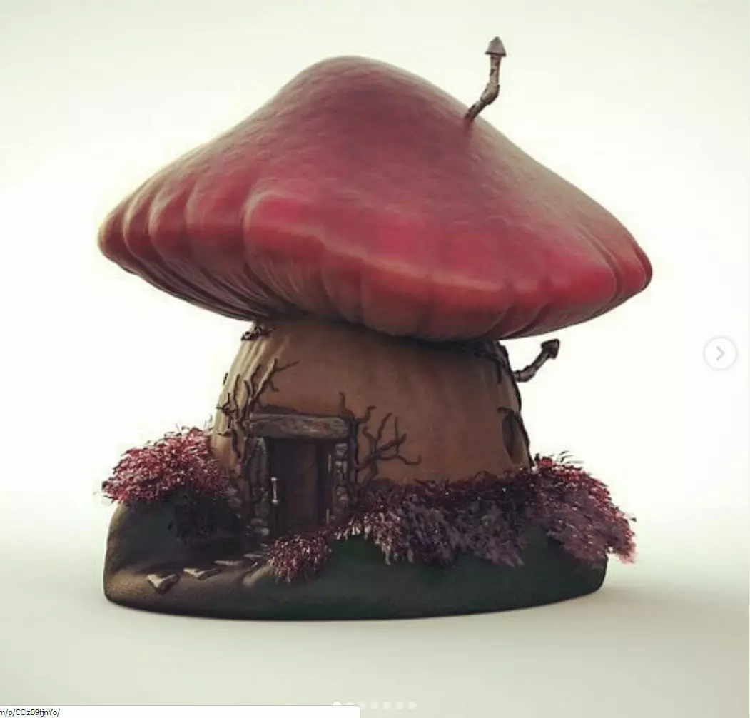 CASITA HONGO - MUSHROOM HOUSE 3D print model_0