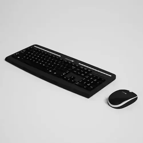 Keyboard and Mouse 25