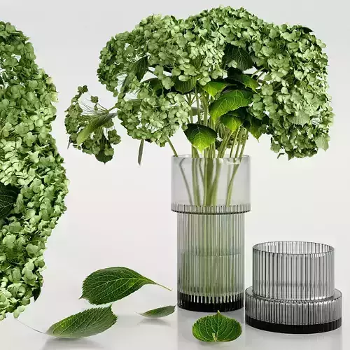 Set bouquet Hydrangea