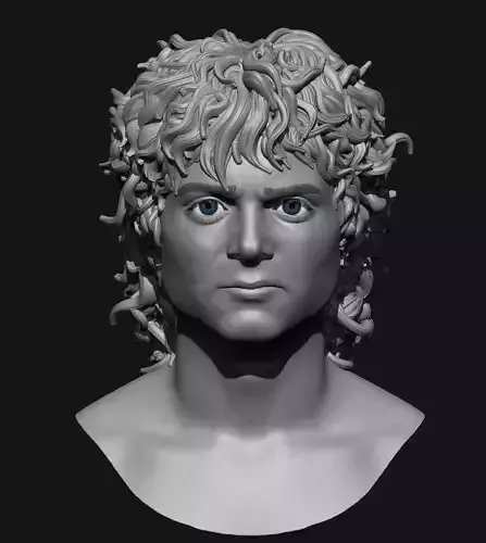 Frodo Baggins- The Lord of the Rings 3D print model-Elijah Wood