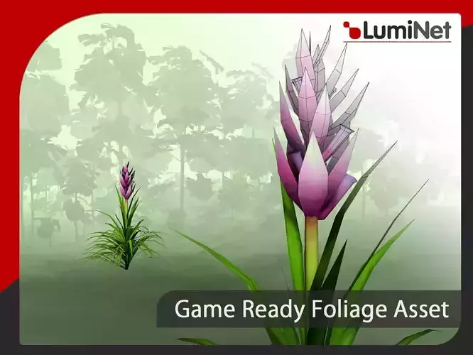 Tillandsia Geminiflora - Grass Low-poly 3D model