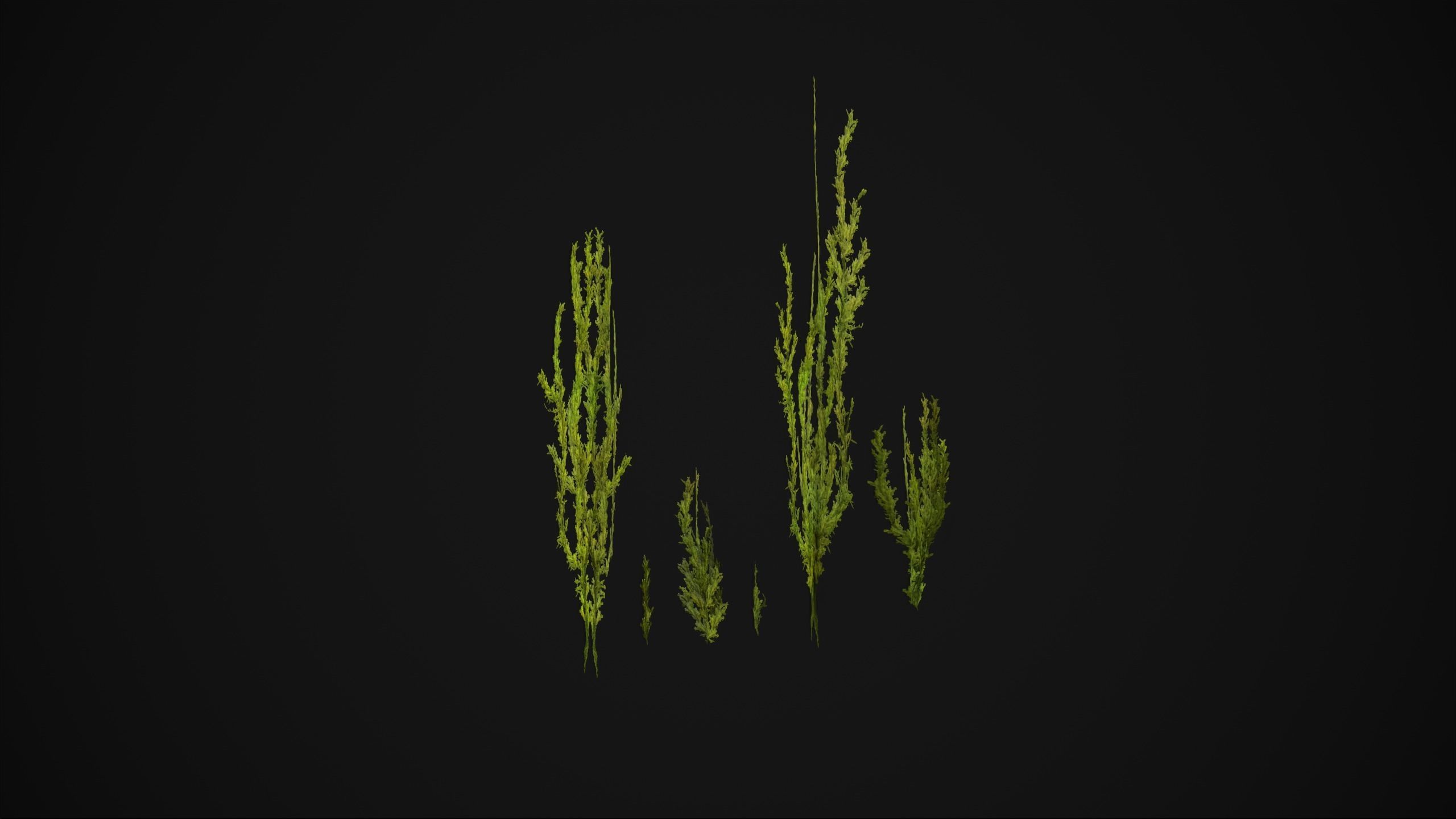 Antitrichia Curtipendula - Grass Low-poly 3D model_3
