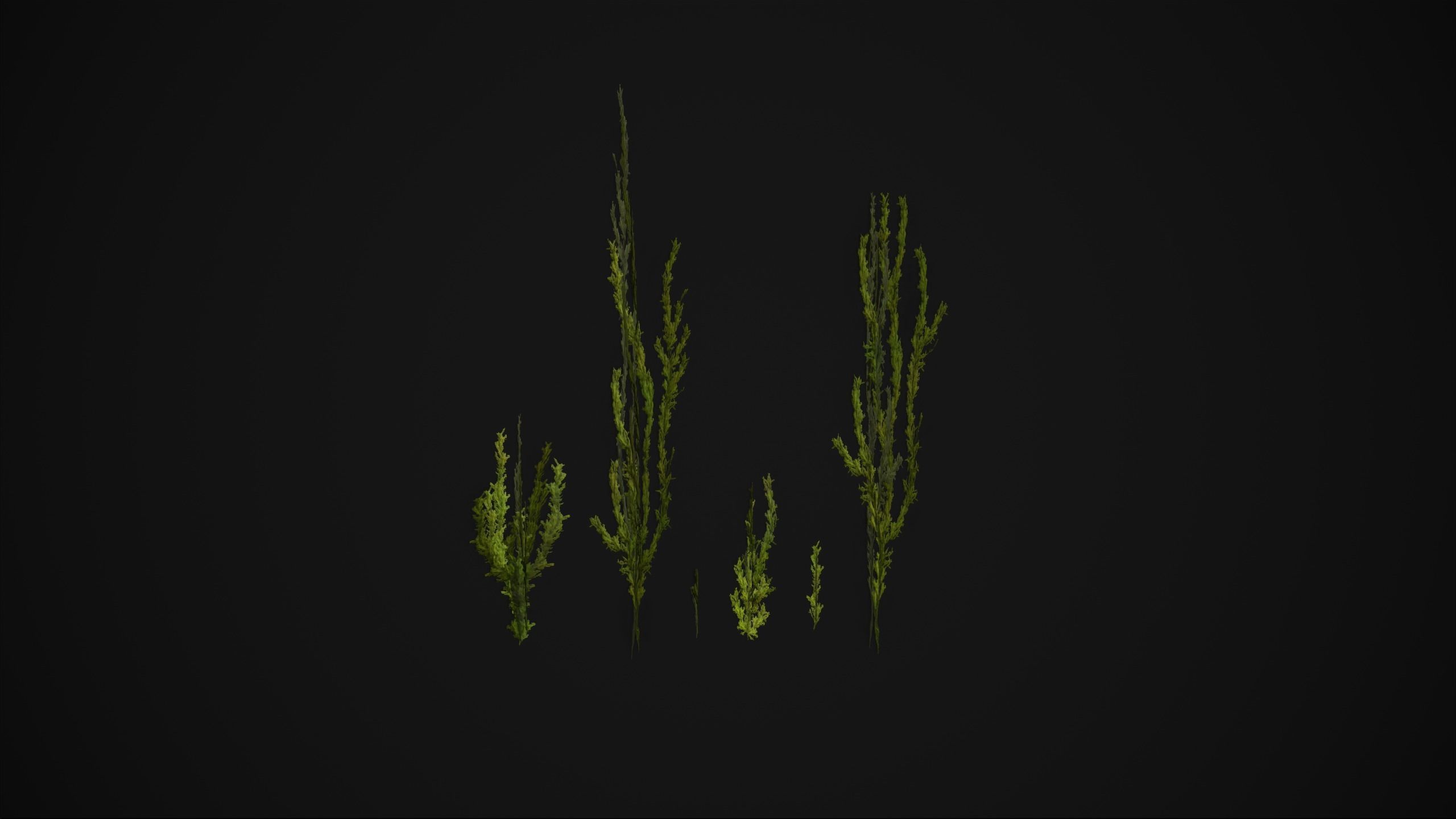 Antitrichia Curtipendula - Grass Low-poly 3D model_12