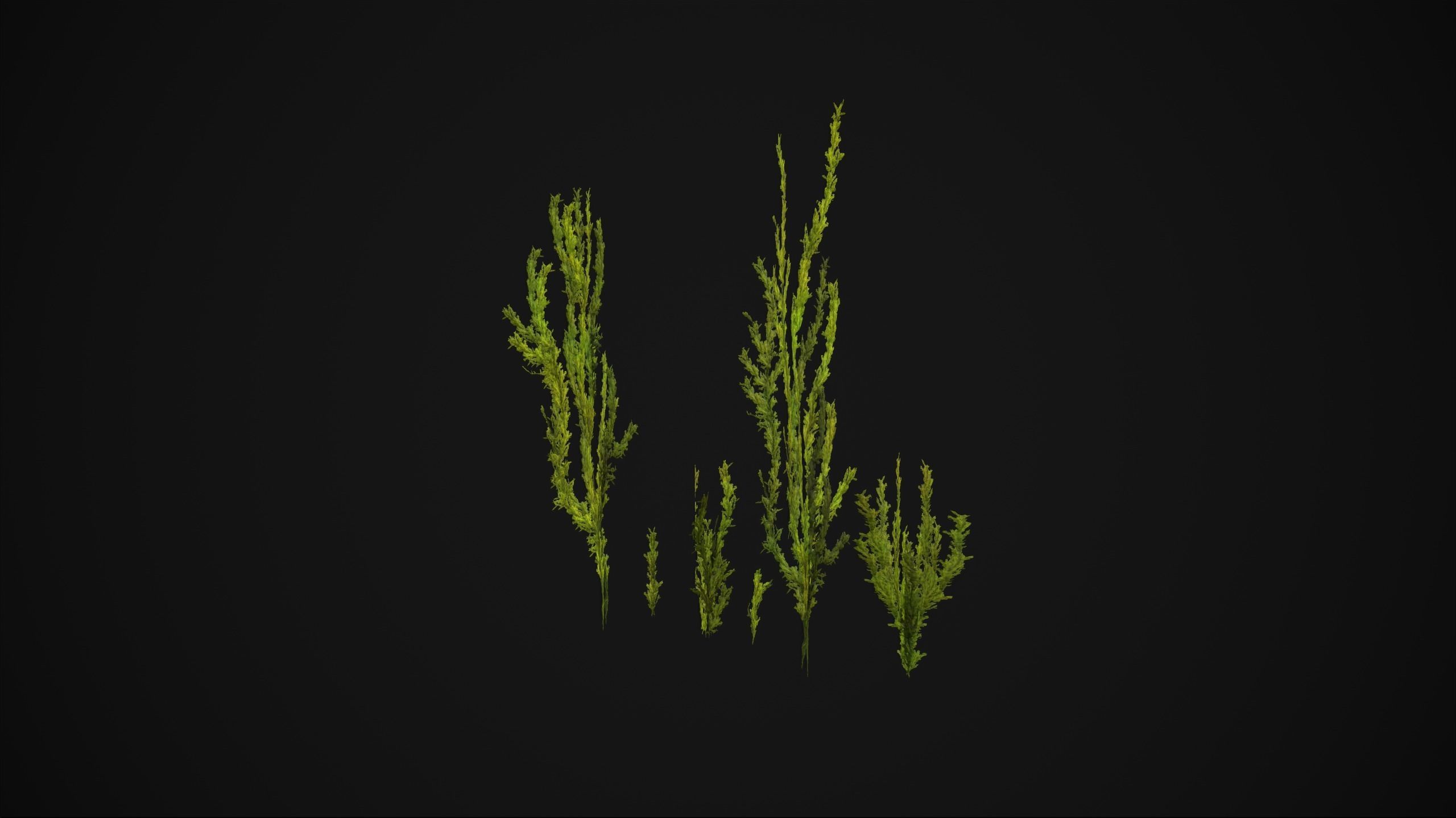 Antitrichia Curtipendula - Grass Low-poly 3D model_20