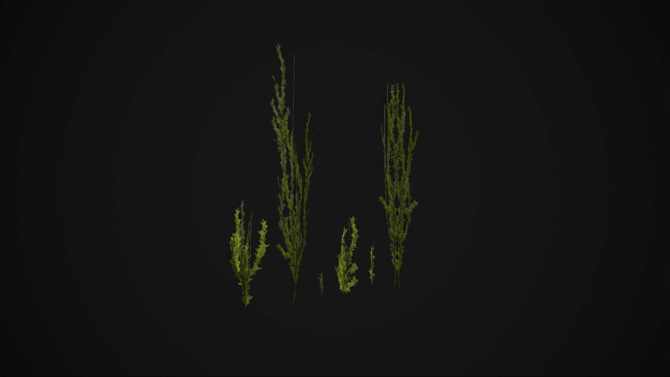 Antitrichia Curtipendula - Grass Low-poly 3D model_13
