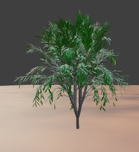 treeplant Free 3D model_6
