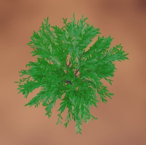 treeplant Free 3D model_3