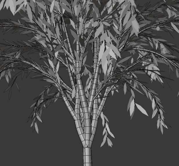 treeplant Free 3D model_13