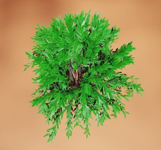 treeplant Free 3D model_1