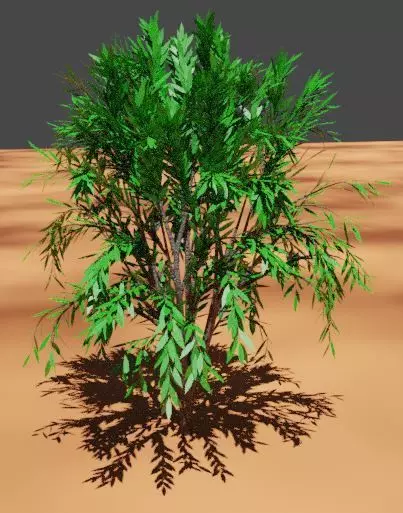 treeplant Free 3D model_0