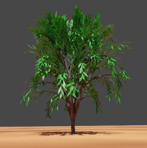 treeplant Free 3D model_8
