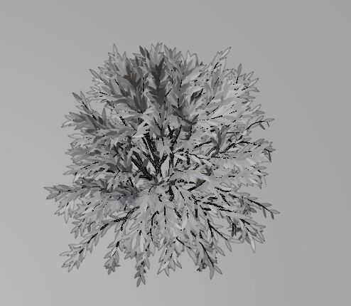 treeplant Free 3D model_11