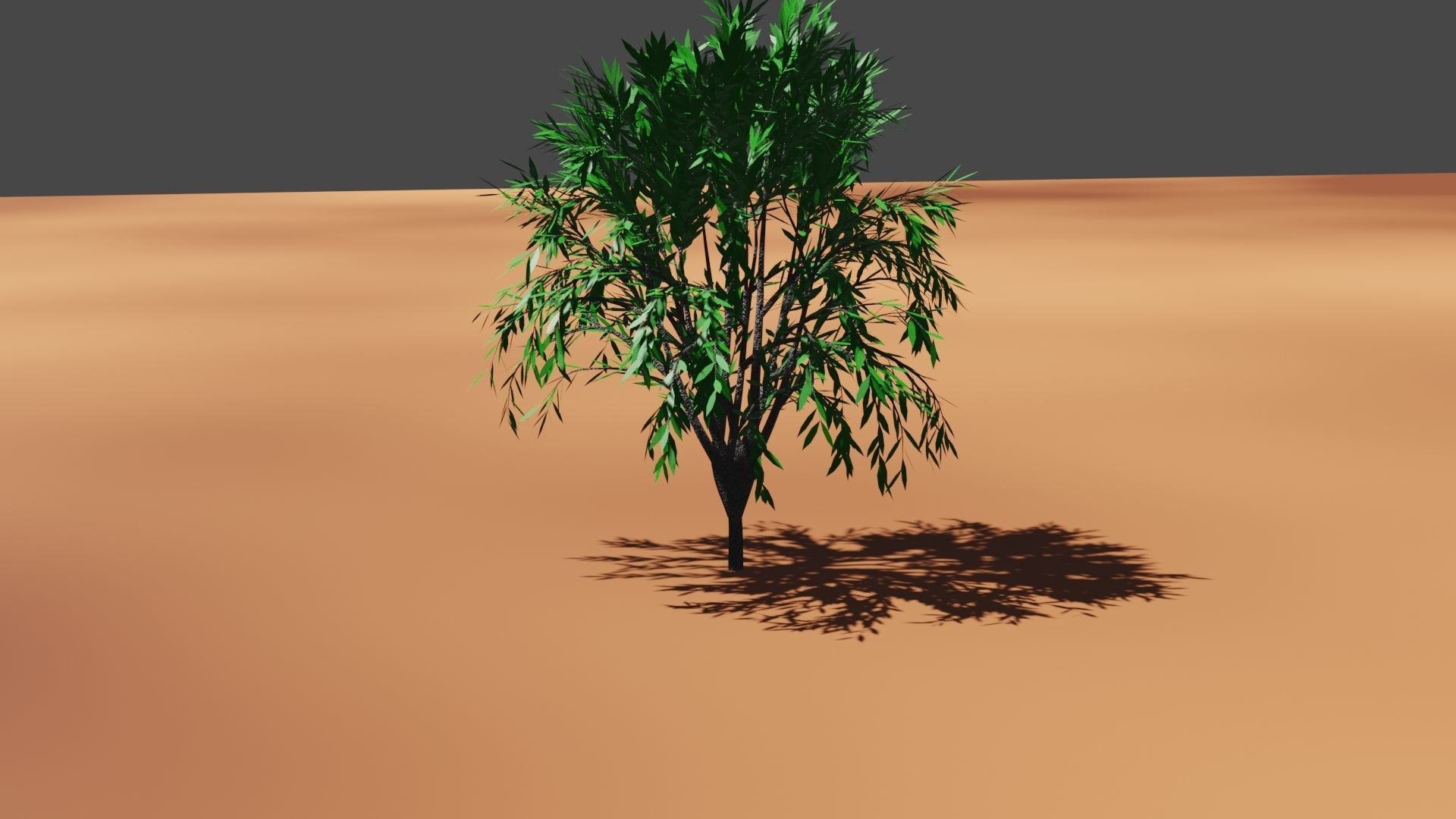 treeplant Free 3D model_15