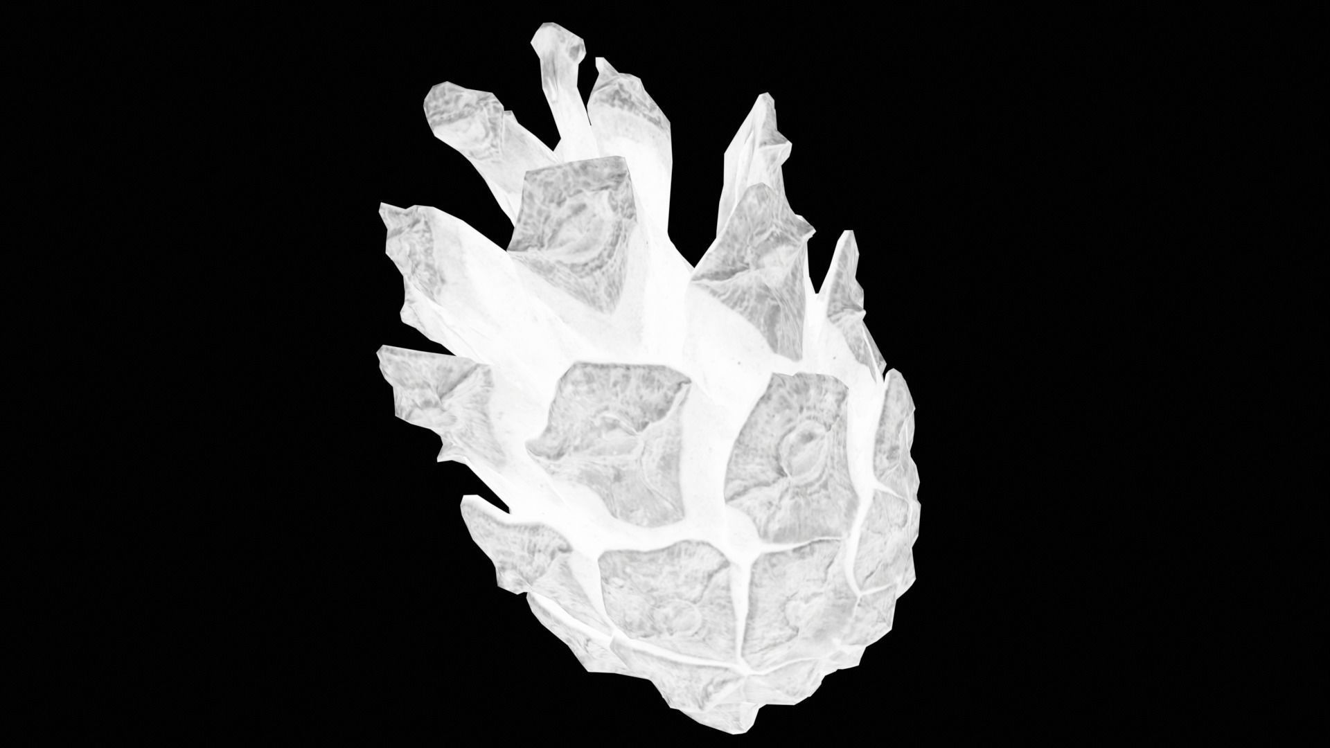 cone pine 3D model 3D model_3