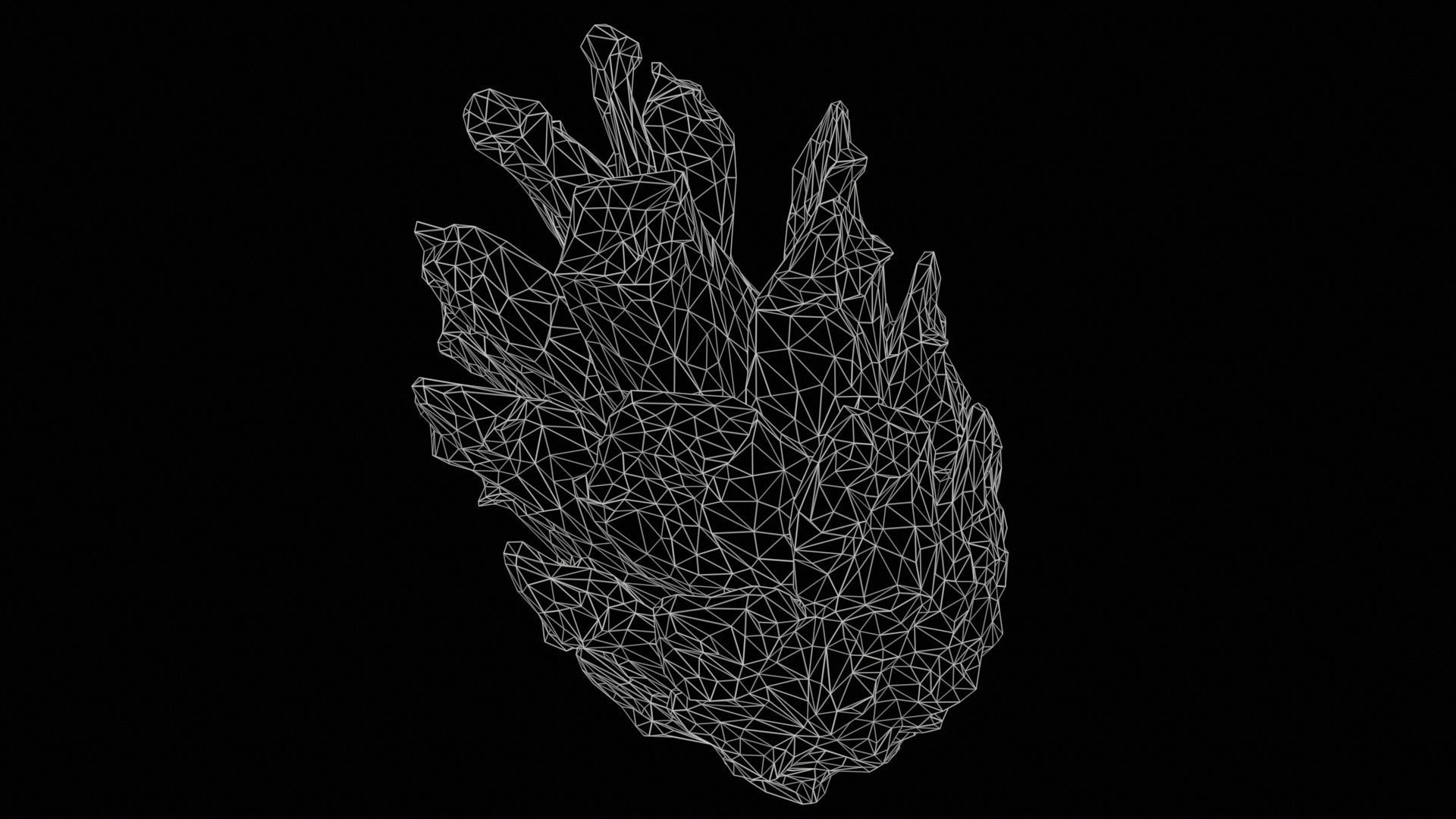 cone pine 3D model 3D model_4