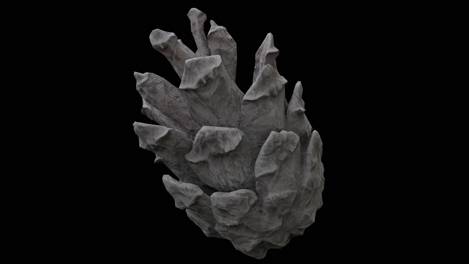 cone pine 3D model 3D model_2