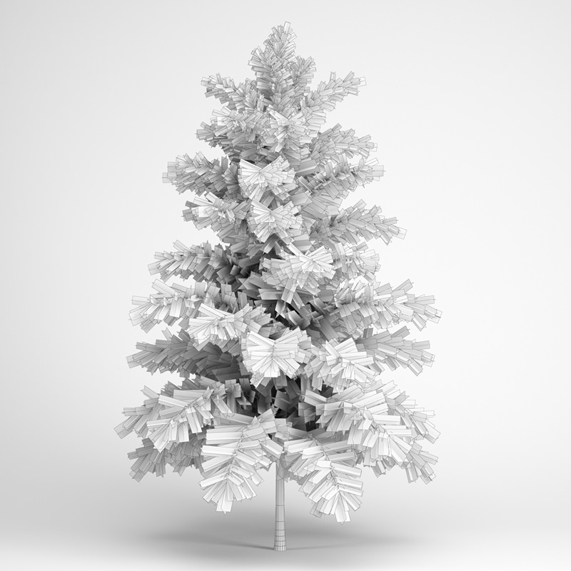 Scots Pine 3D model_1