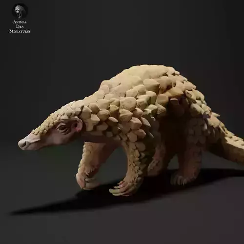 Sunda Pangolin 