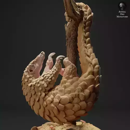 Sunda Pangolin Hanging