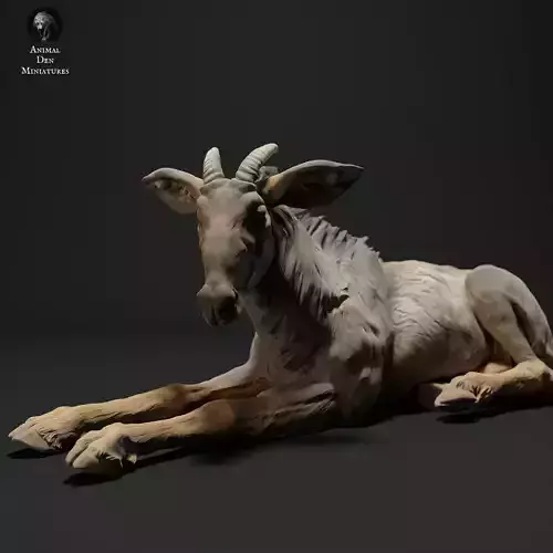 Sumatran Serow Lying 3D print model