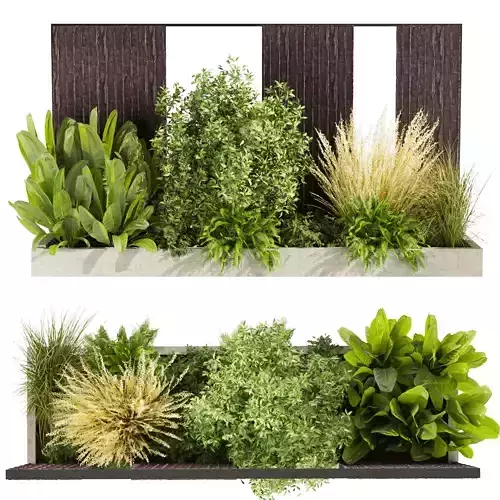 Collection plant vol 493 - garden - leaf - bush - wood