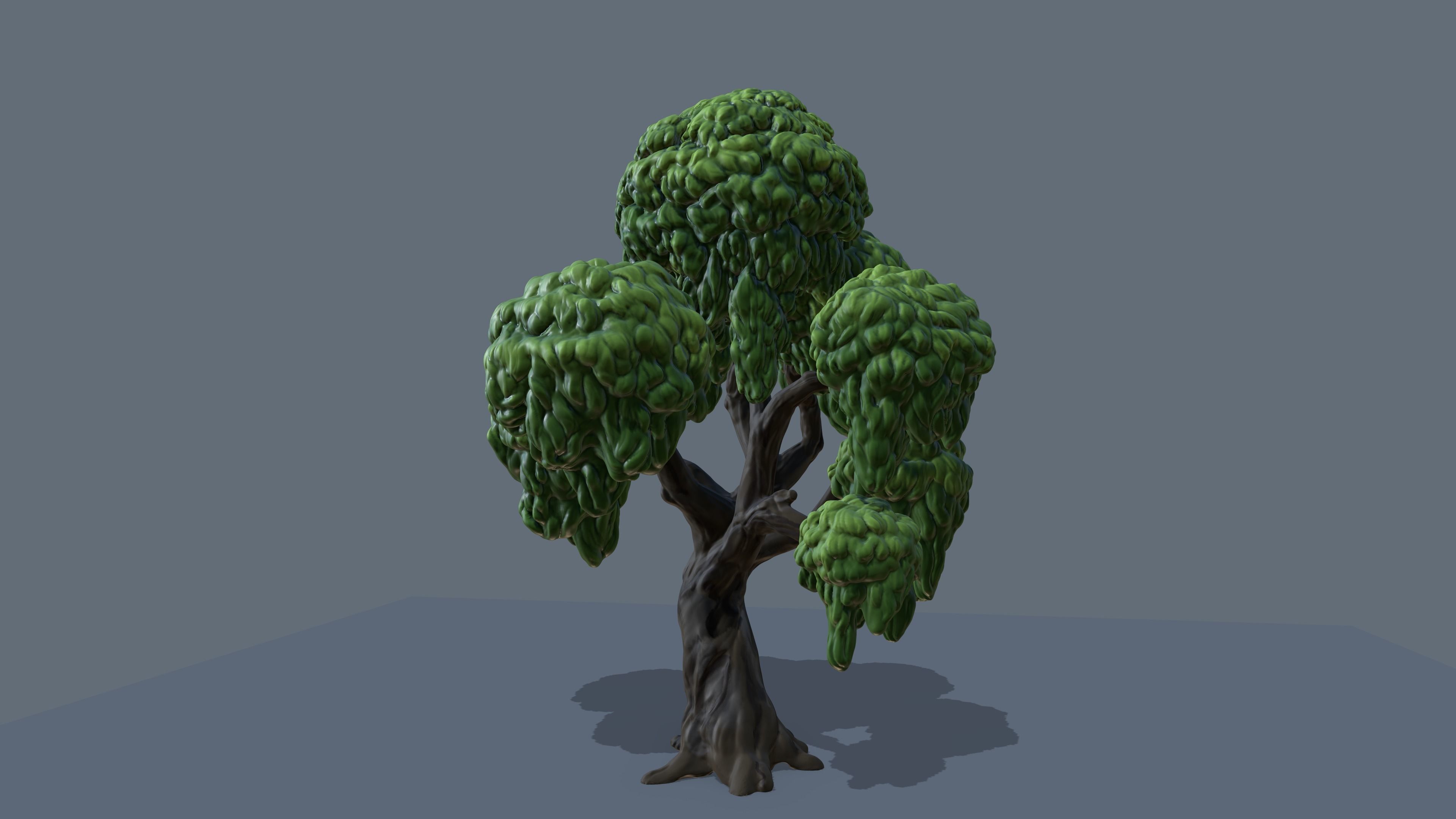 eucalyptus stylized tree 3D model_5