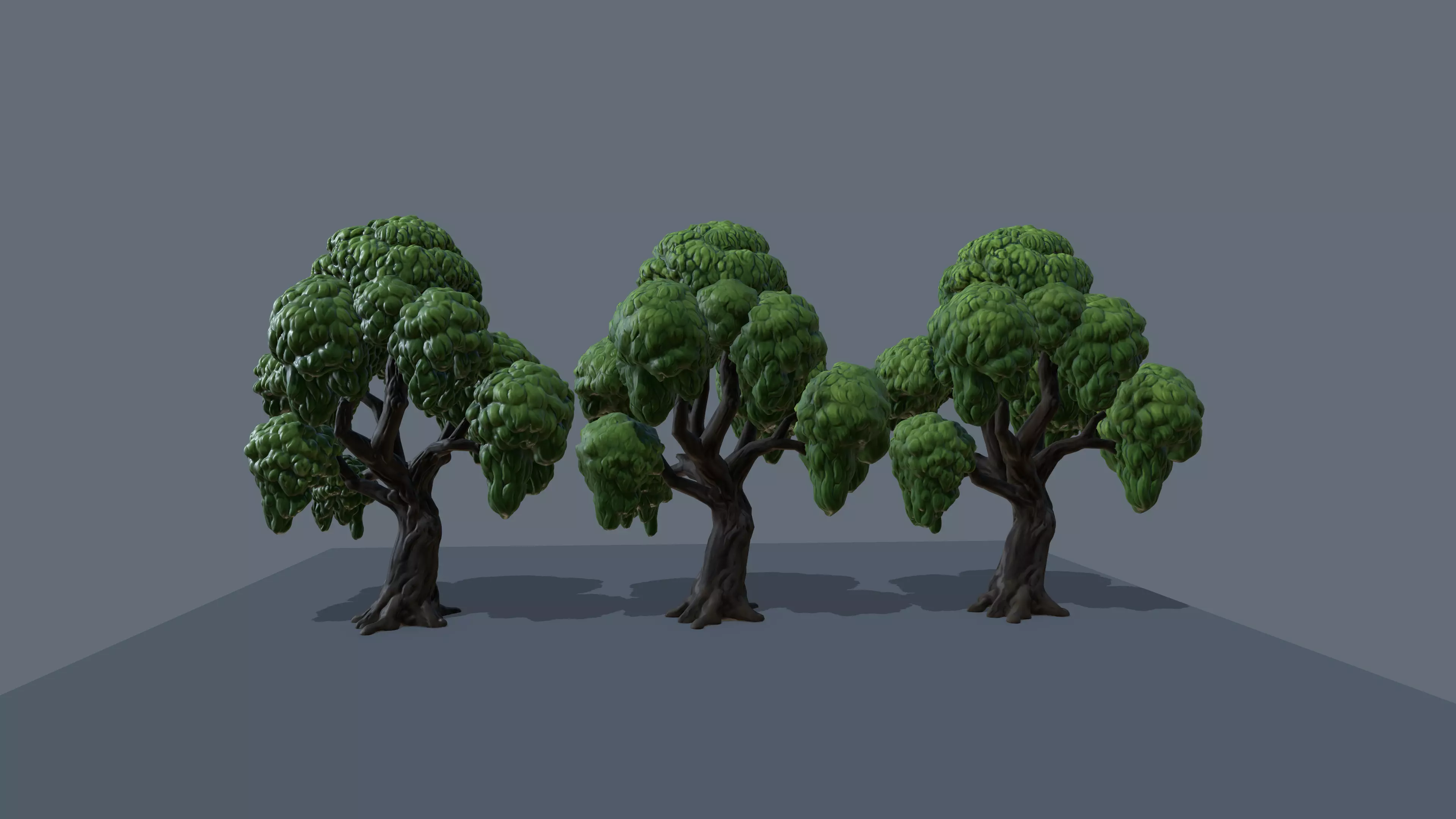 eucalyptus stylized tree 3D model_0