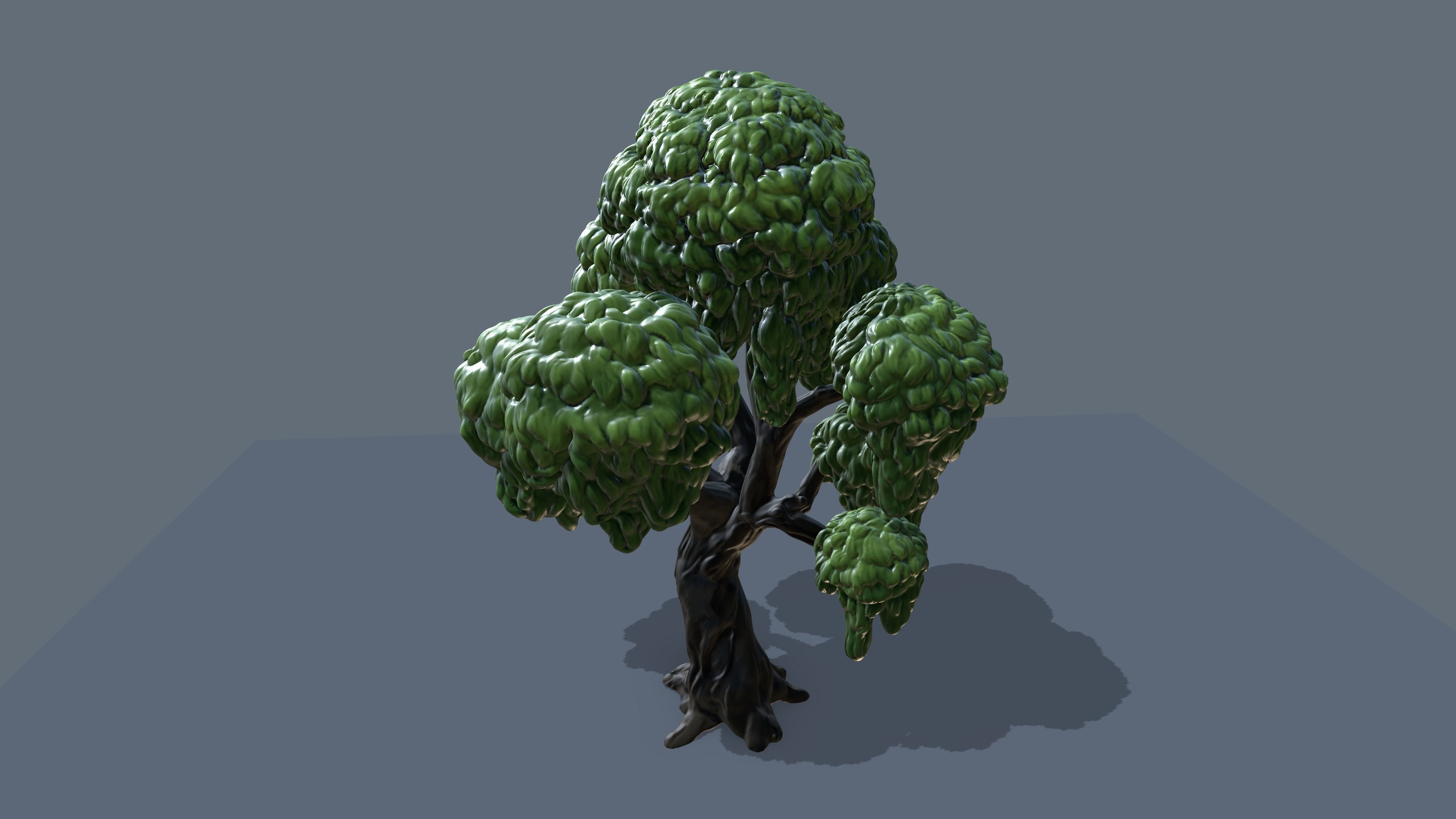 eucalyptus stylized tree 3D model_4