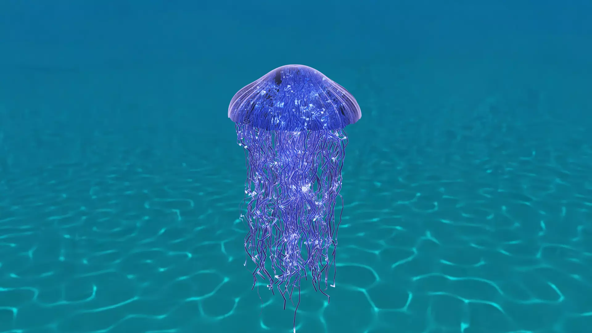 Jellyfish 3D model